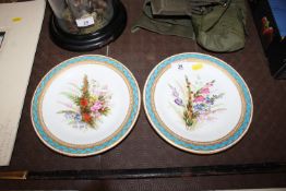 A pair of Royal Worcester cabinet plates retailed