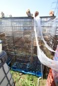 Pallet of 30 wire crates. V
