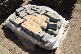 Quantity brick paving edging blocks. V