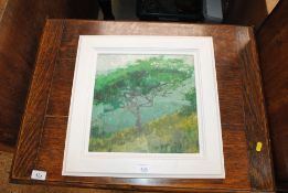 Peter Polaine, oil on board still life study of a tree