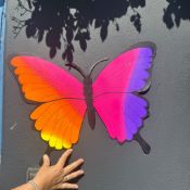 Social Butterfly