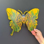 King of the Butterflies & The African Butterfly