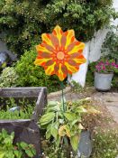 Sunshine in a Flower