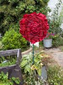 Rosedale Rose