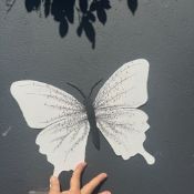 Harmony in bloom