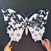 Transformation