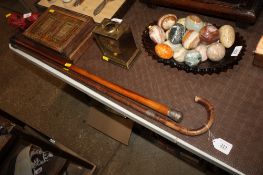 A silver collared walking stick and a silver capped walking stick