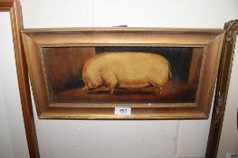 Unsigned oil on board, 'Vintage Pig'