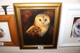 Unsigned oil on board 'Barn Owl'