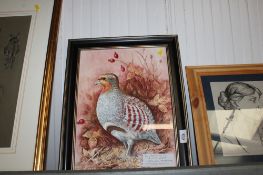 A framed and glazed watercolour study of a partridge