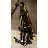 Assorted walking sticks and an umbrella (CWH Ref: T03F)
