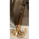 Five walking sticks,