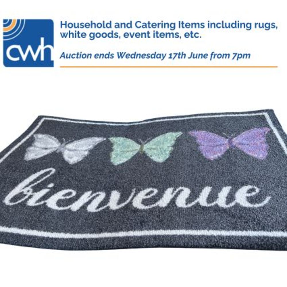 Household & Catering Items - pallets of door mats & rugs, white goods, catering equipment, TVs, lighting, event items etc.