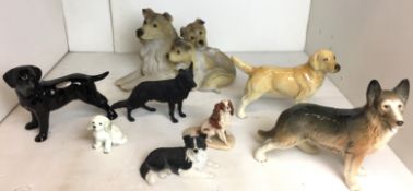 Eight dog studies - Border Fine Arts King Charles spaniel 10cm high,