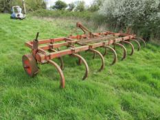 5m C tine cultivator
