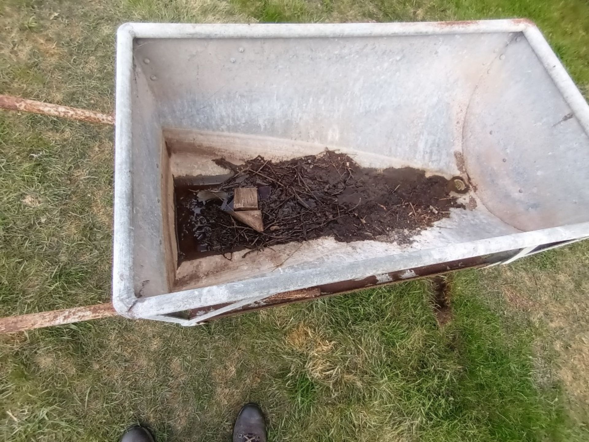 2 wheeled Galvanised iron feed barrow - Image 2 of 2