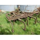 HD Vintage Rigid tined trailed Cultivator