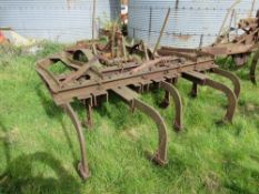HD Vintage Rigid tined trailed Cultivator