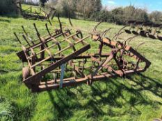 15' Spring tine with wings