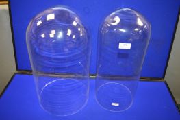 2x Victorian Glass Domes