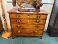 Georgian Mahogany Four Drawer Chest