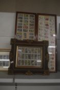 Quantity of Framed Horticultural Cigarette Cards