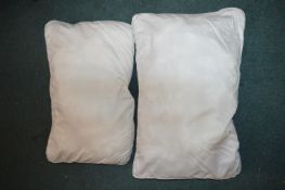 *Tencel Tranquillity Pillows 2pk