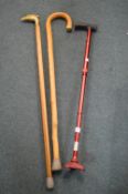 3x Walking Sticks