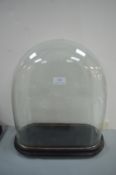 Victorian Glass Clock Dome