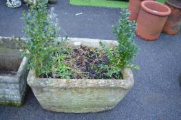 Large Basket Style Garden Planter with Plants