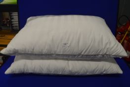 *Pair of Hotel Grand Fether Pillows