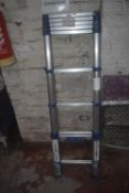 Werner Telescopic Ladder