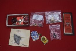 A small mixed group of Third Reich–period insignia and fittings, including a miniature metal eagle