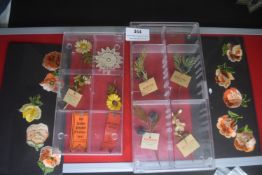 A display group of German WHW floral donation badges and embroidered cloth flower motifs, comprising
