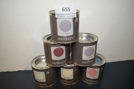 *6x 100ml of Earthborn Clay Paint (assorted colours)
