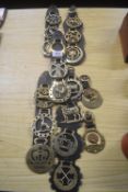 Selection of Hanging Horse Brasses on Leather Backing