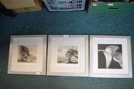 Pair of Framed Etchings by M. Ridge Signed by the Artist, plus Movie Photograph