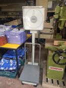 Weylux Platform Scales