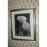 Large Black & White Tulip Photograph in Silvered Frame