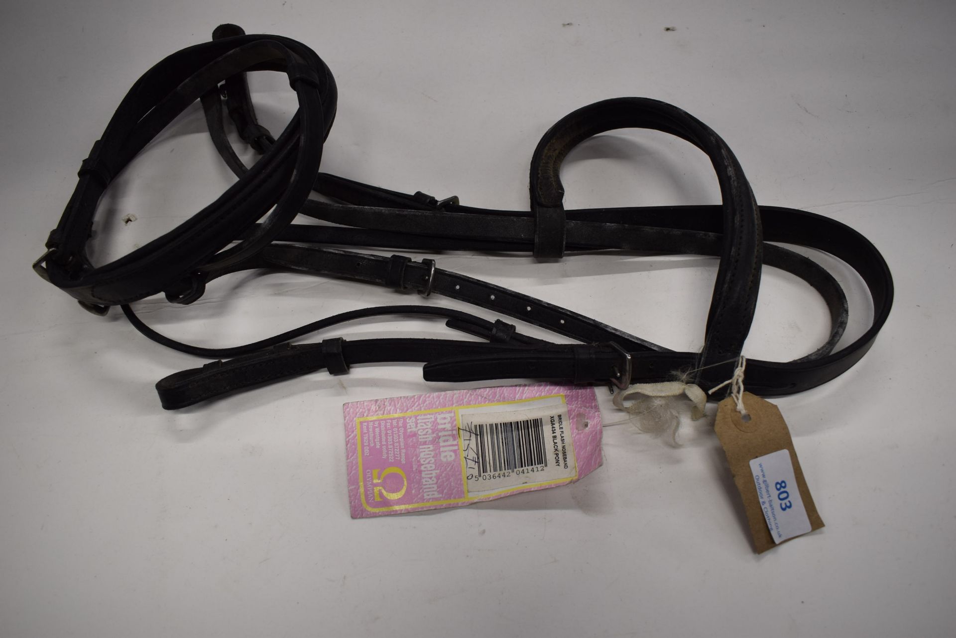 Olympian Bridle with Raised & Padded Flash Noseband Pony Size in Black