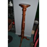 Barley Twist Plant Stand