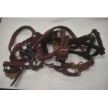 Quantity of Full Size Head Collars in Various Design