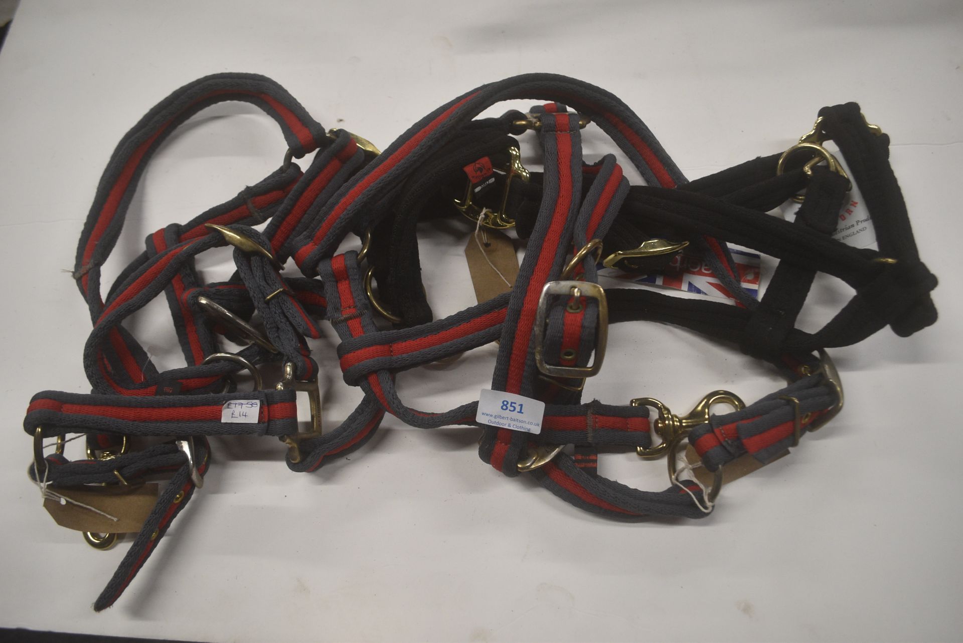 Quantity of Full Size Head Collars in Various Design