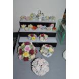 Pottery Flower Posies by Royal Doulton etc. (some AF)