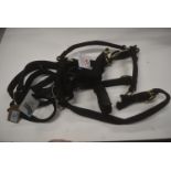 Quantity of Cob Size Head Collars in Various Design