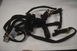 Quantity of Cob Size Head Collars in Various Design