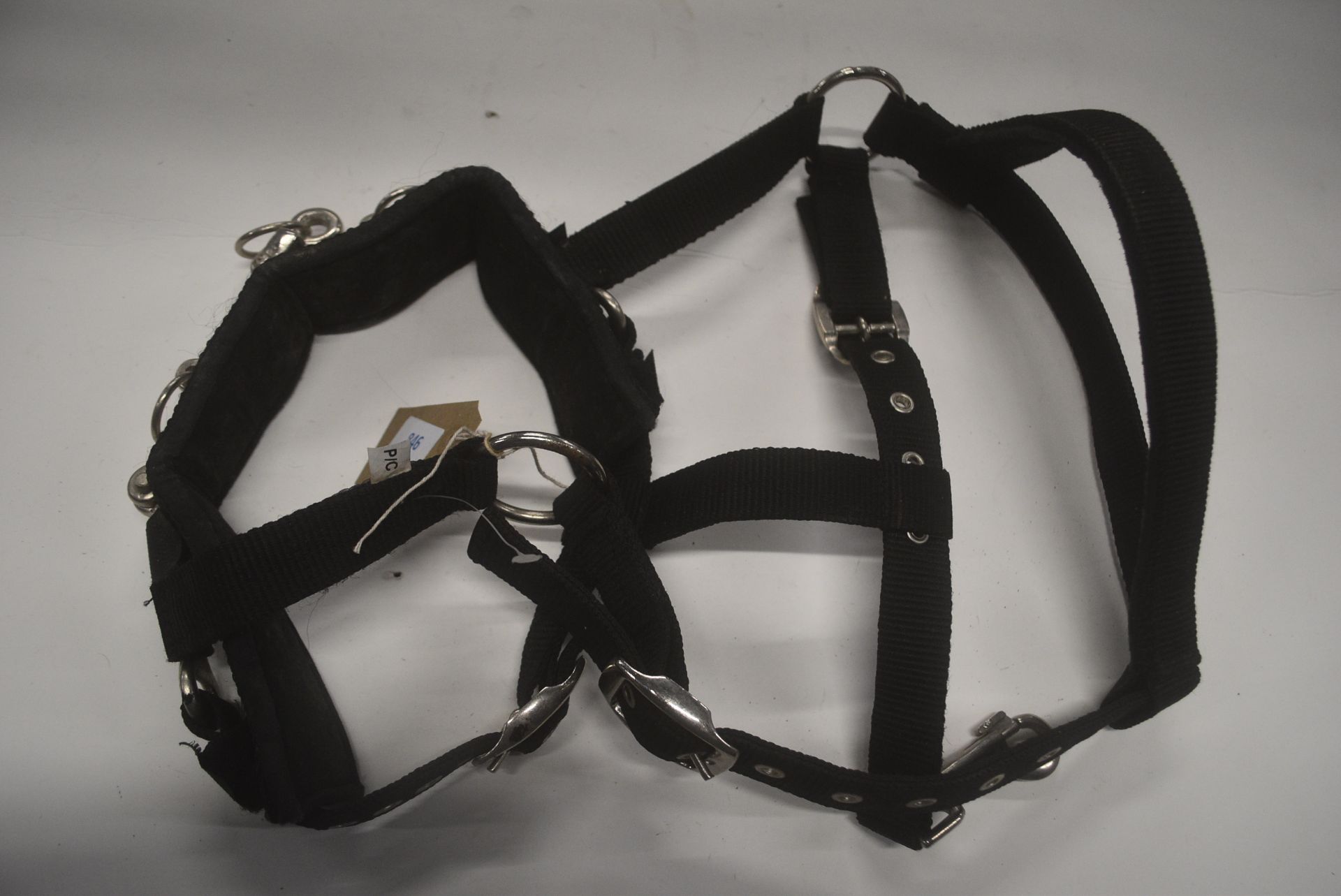 Olympian Webbing Lunge Cavesson Size: Pony/Cob