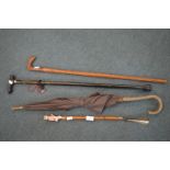 Walking Sticks, Umbrellas & Owl Head Shoe Horn