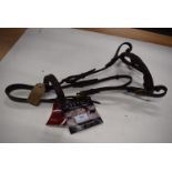 Jefferies Stallion Show Bridle 16mm Cob in Havana