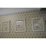 3x Framed French Floral Prints